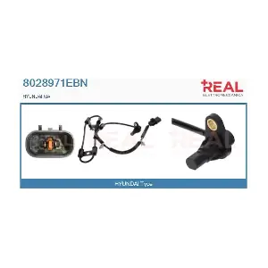 8028971EBN REAL