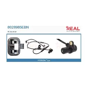 8028985EBN REAL
