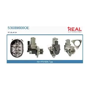 53089600OE REAL