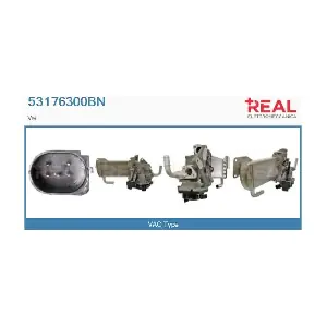 53176300BN REAL