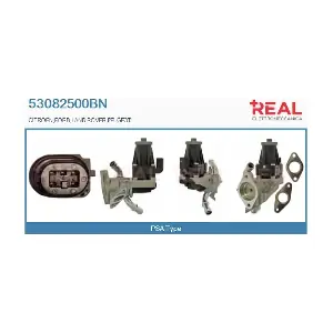 REAL 53082500BN