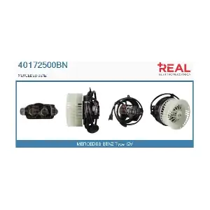 40172500BN REAL