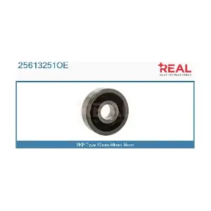 25613251OE REAL