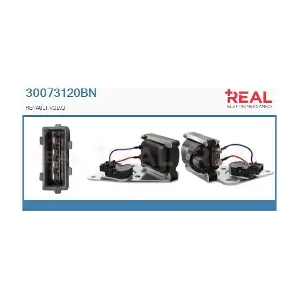 REAL 30073120BN