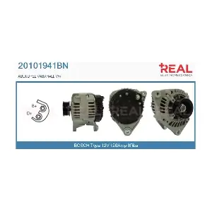 REAL 20101941BN