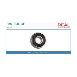 REAL 25613001OE
