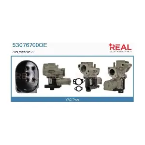 REAL 53076700OE