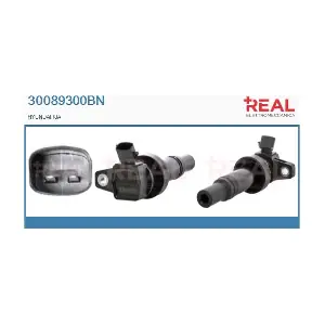 30089300BN REAL
