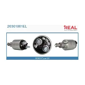 REAL 20301001EL