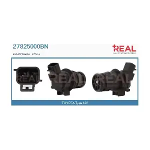 REAL 27825000BN