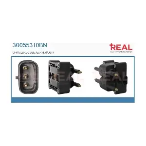 REAL 30055310BN