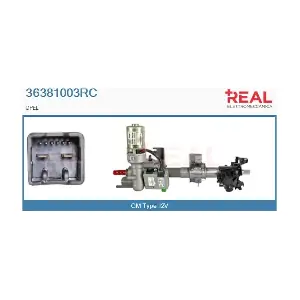 36381003RC REAL