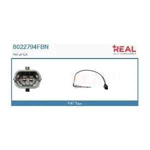 8022794FBN REAL
