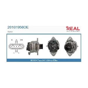 REAL 20101956OE