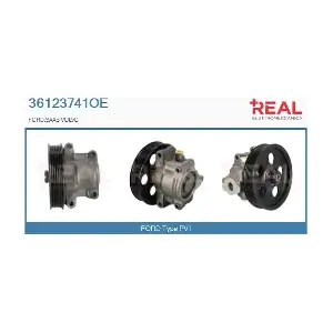 36123741OE REAL