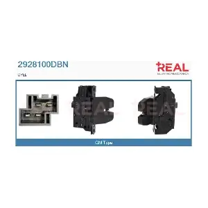 2928100DBN REAL