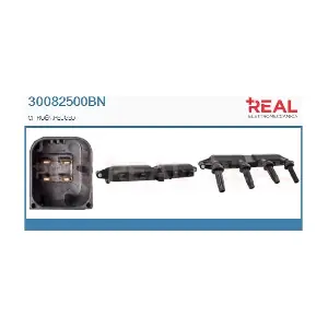 30082500BN REAL