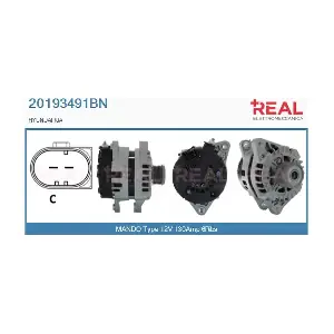 20193491BN REAL