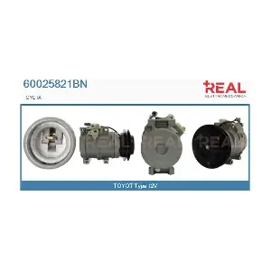 60025821BN REAL