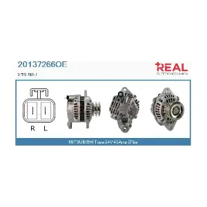REAL 20137266OE
