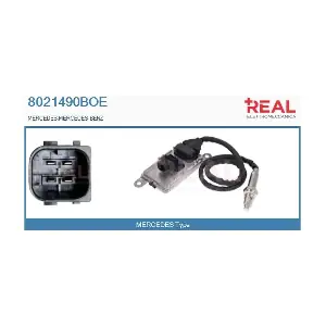 8021490BOE REAL