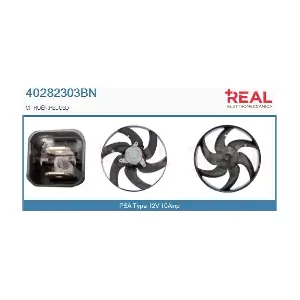 40282303BN REAL