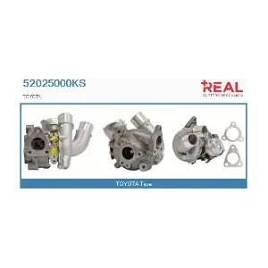 52025000KS REAL