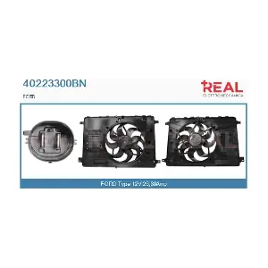 40223300BN REAL
