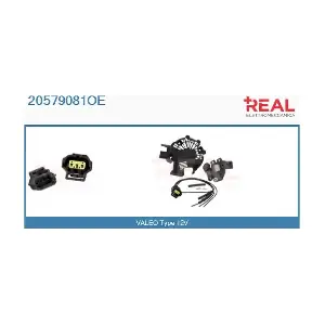 20579081OE REAL