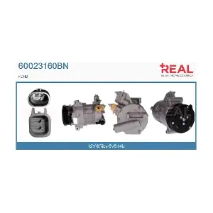 60023160BN REAL