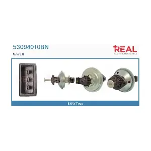 REAL 53094010BN