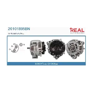 REAL 20101895BN