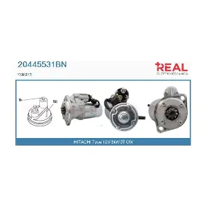 REAL 20445531BN