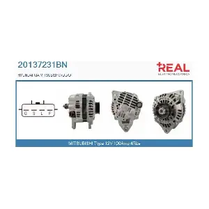 REAL 20137231BN