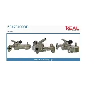 53173100OE REAL