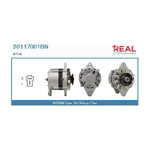 REAL 20117001BN