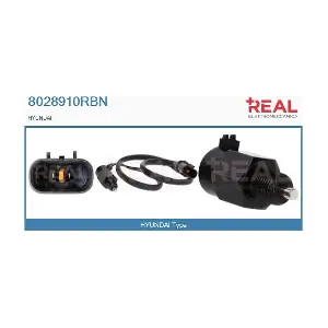 8028910RBN REAL