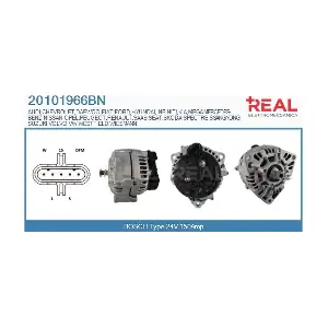 REAL 20101966BN