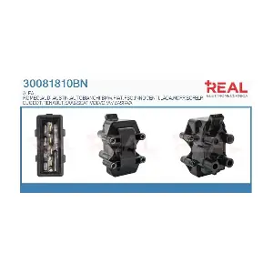 REAL 30081810BN