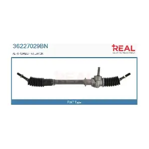 REAL 36227029BN