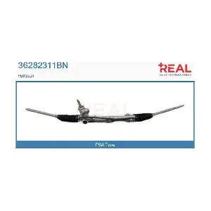 REAL 36282311BN
