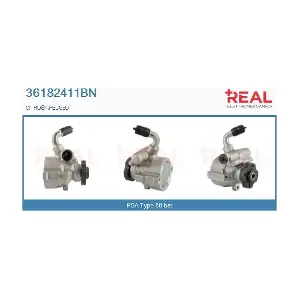 REAL 36182411BN