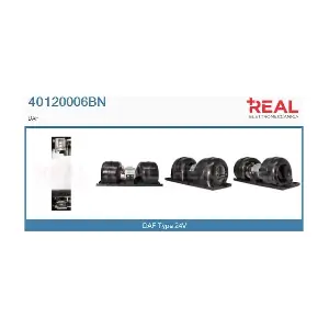 REAL 40120006BN