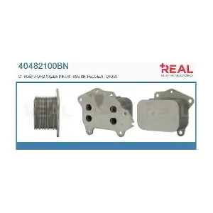 REAL 40482100BN