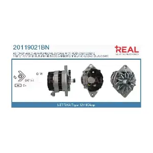 REAL 20119021BN