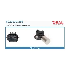 8022520CBN REAL