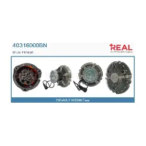 40316000BN REAL