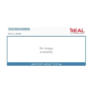 REAL 30090400BN