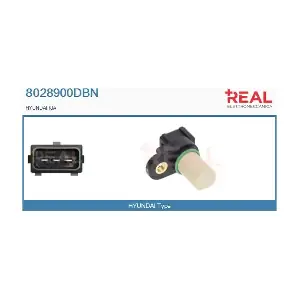 8028900DBN REAL