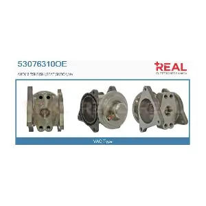 REAL 53076310OE